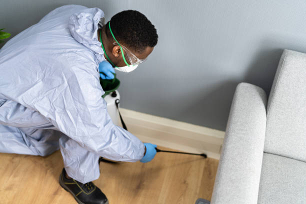 Best Fumigation Services  in Millville, DE